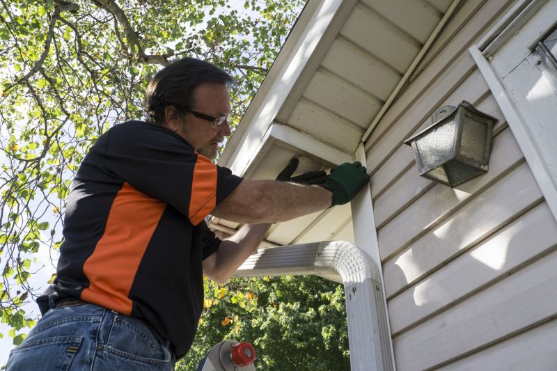 Expert Vinyl Siding Repair Technician